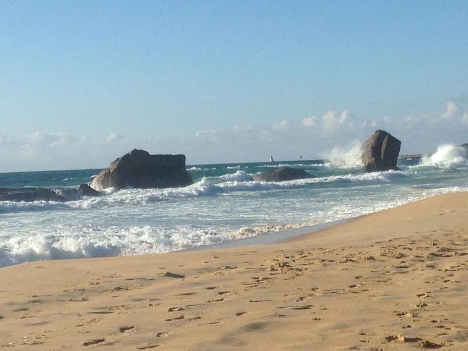 Cap Ocean-Studio Capbreton Eksteriør bilde