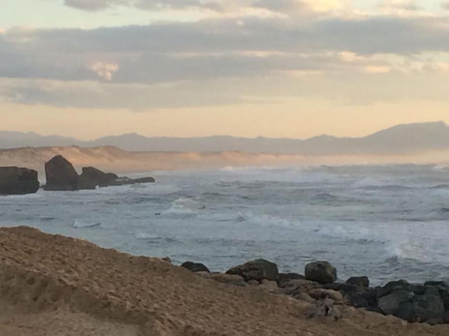 Cap Ocean-Studio Capbreton Eksteriør bilde